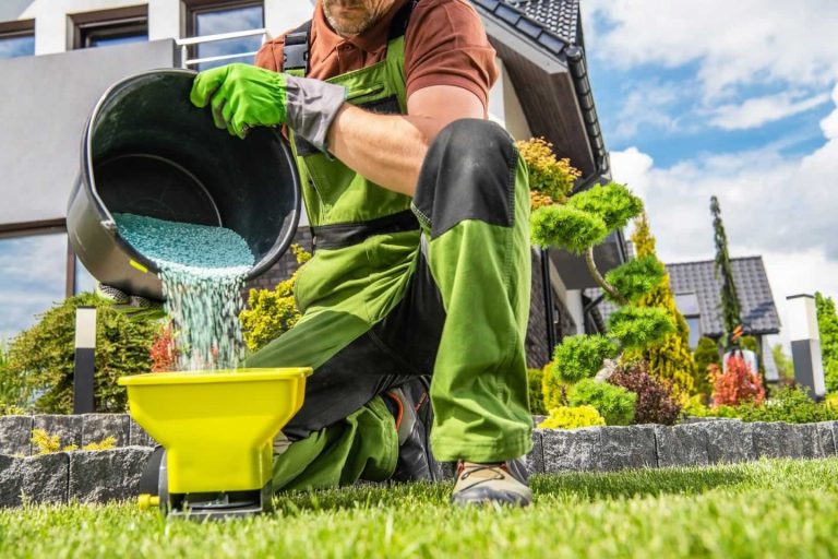 Weed Control and Fertilizing Program